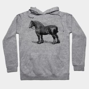 Draft Horse - Black and White Illustration Hoodie